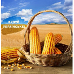 Насіння кукурудзи Подільський 274 СВ, ФАО 270