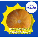 Диня (опт, роздріб)