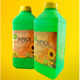 Комплекс для живлення олійних культур NPKS..