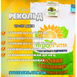 Насіння соняшника Рекольд під гербіцид Гранстар, фр. Преміум (3.6)