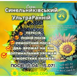 Насіння сортового соняшника Синельниківський УльтраРанній (СУР), 75-80 днів, Екстра+ 