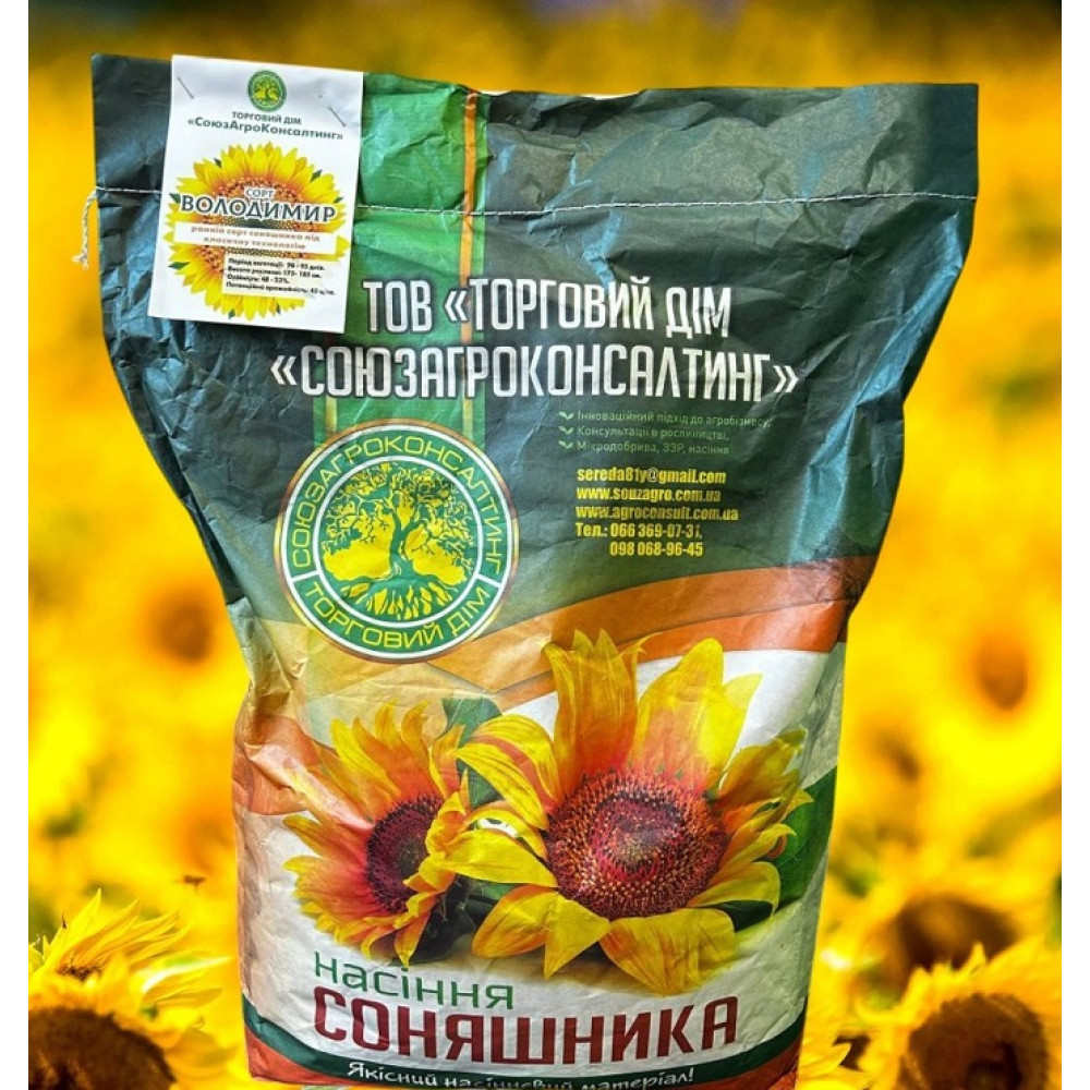 Насіння соняшника Володимир, 90-95 днів, протруєне, фракція Стандарт
