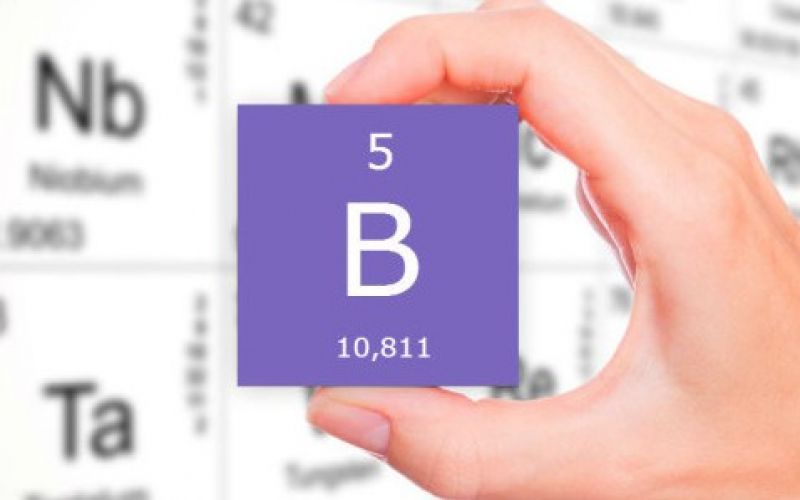 Бор и его роль в процессе выращивания растений