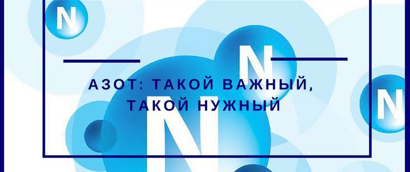 Азот – главный макроэлемент в питании растений